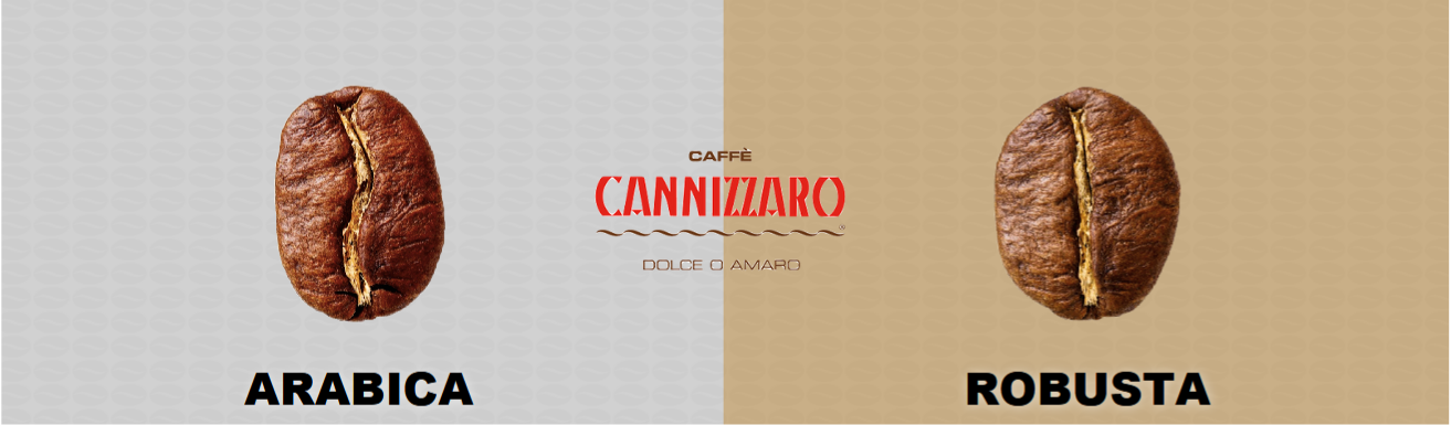 Arabica vs Robusta